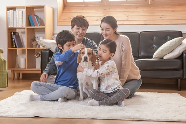 반려견 유치원 지도사 자격증